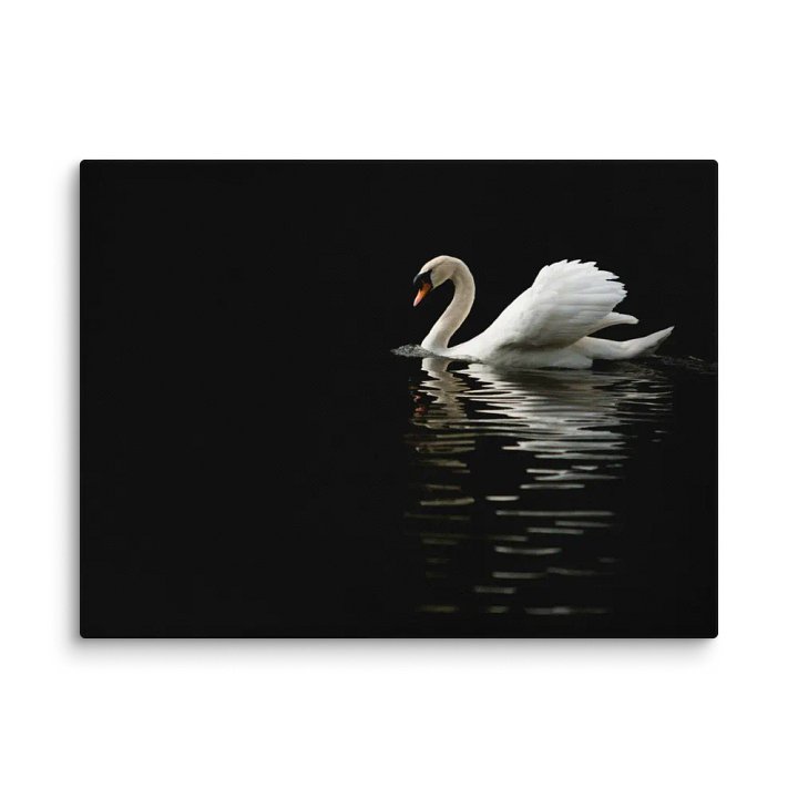 The Swans of St James product image (2)