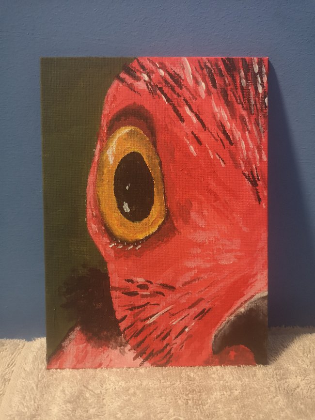 Animals and Birds