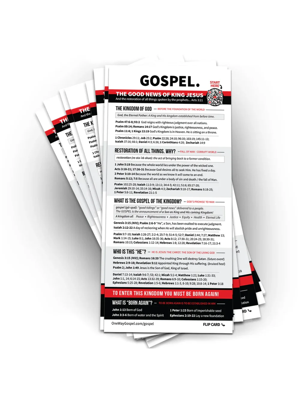 GOSPEL Card (Sets of 10) - 10-Lesson Overview of the Good News of King Jesus product image (1)