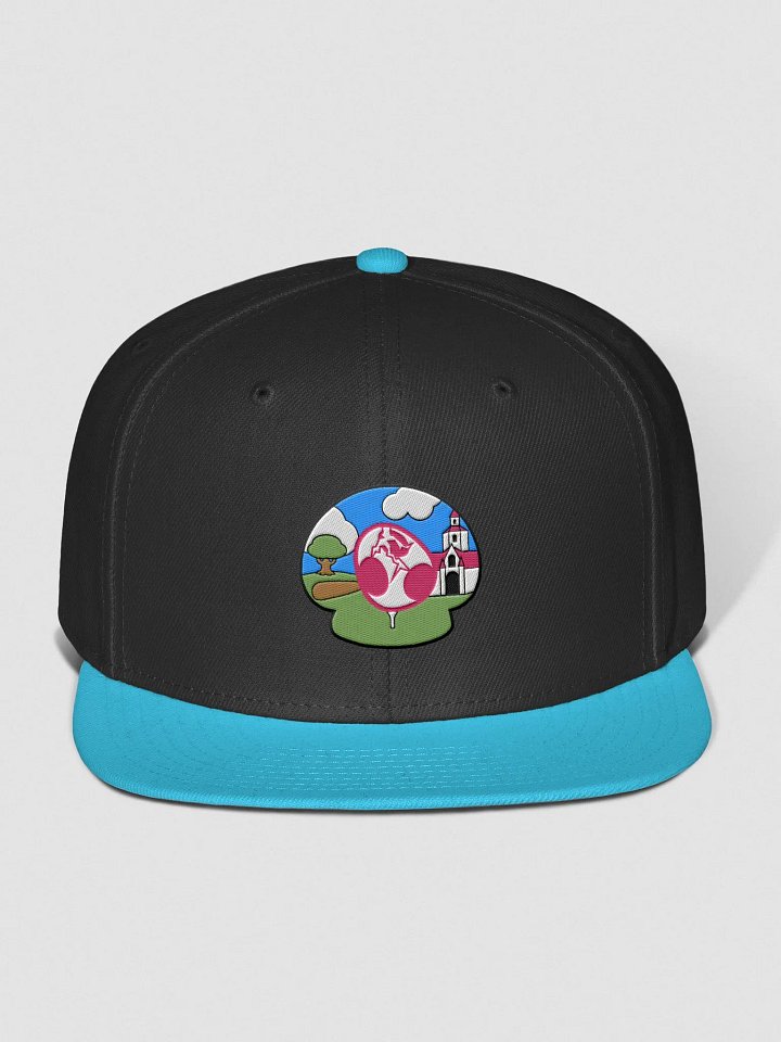 SLICE 24 Snapback product image (9)
