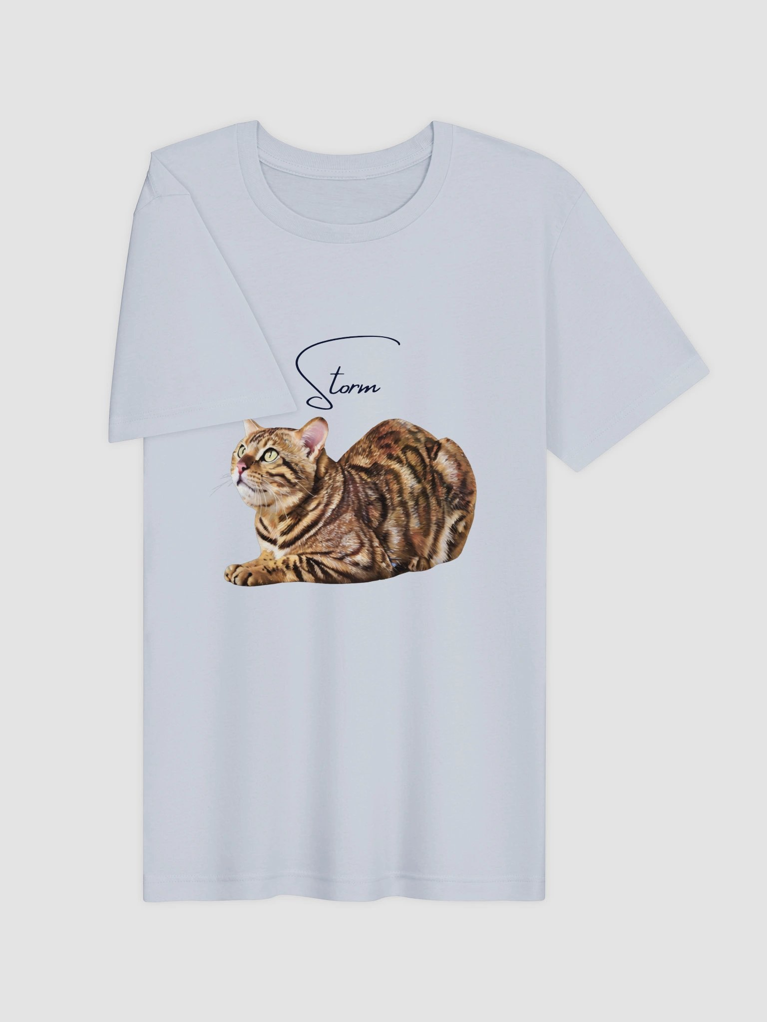 Custom Oil Painting Style Pet Portrait T-Shirt product image (21)