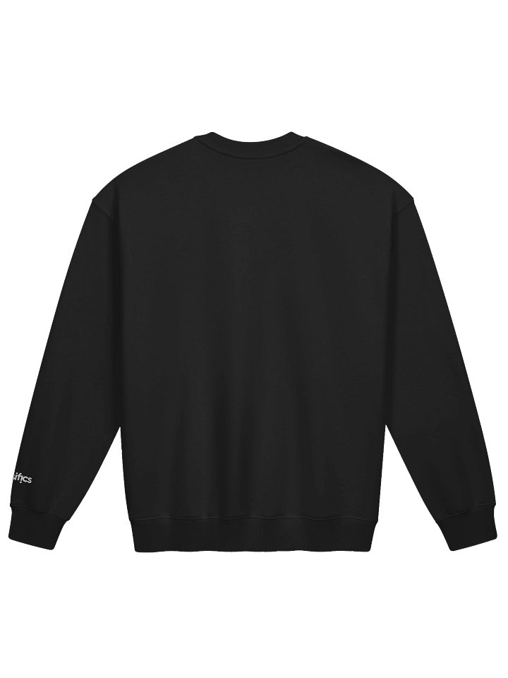 Spesifics Logo LS French Terry Sweatshirt product image (3)
