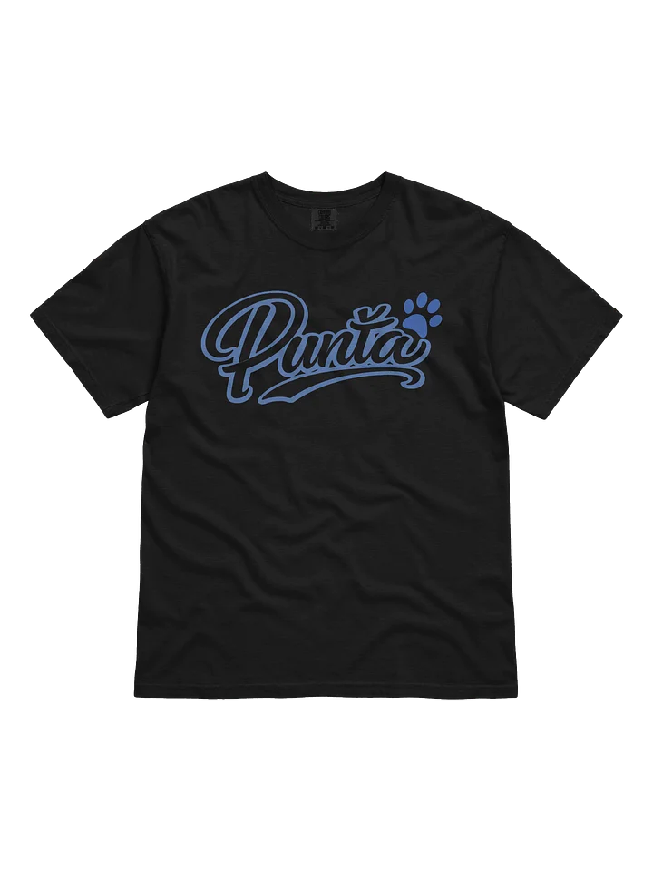 Punťa blue t-shirt product image (1)