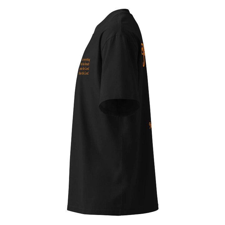 Praise! Organic Oversized T-Shirt product image (3)