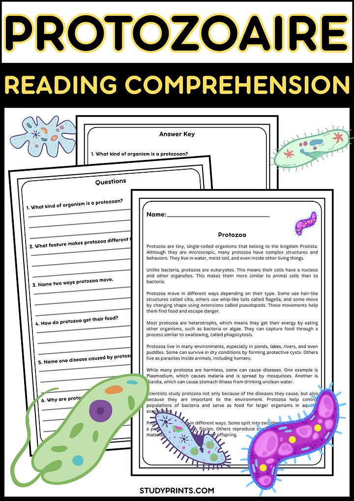 Protozoa Reading Passage with Questions and Answer Key product image (1)