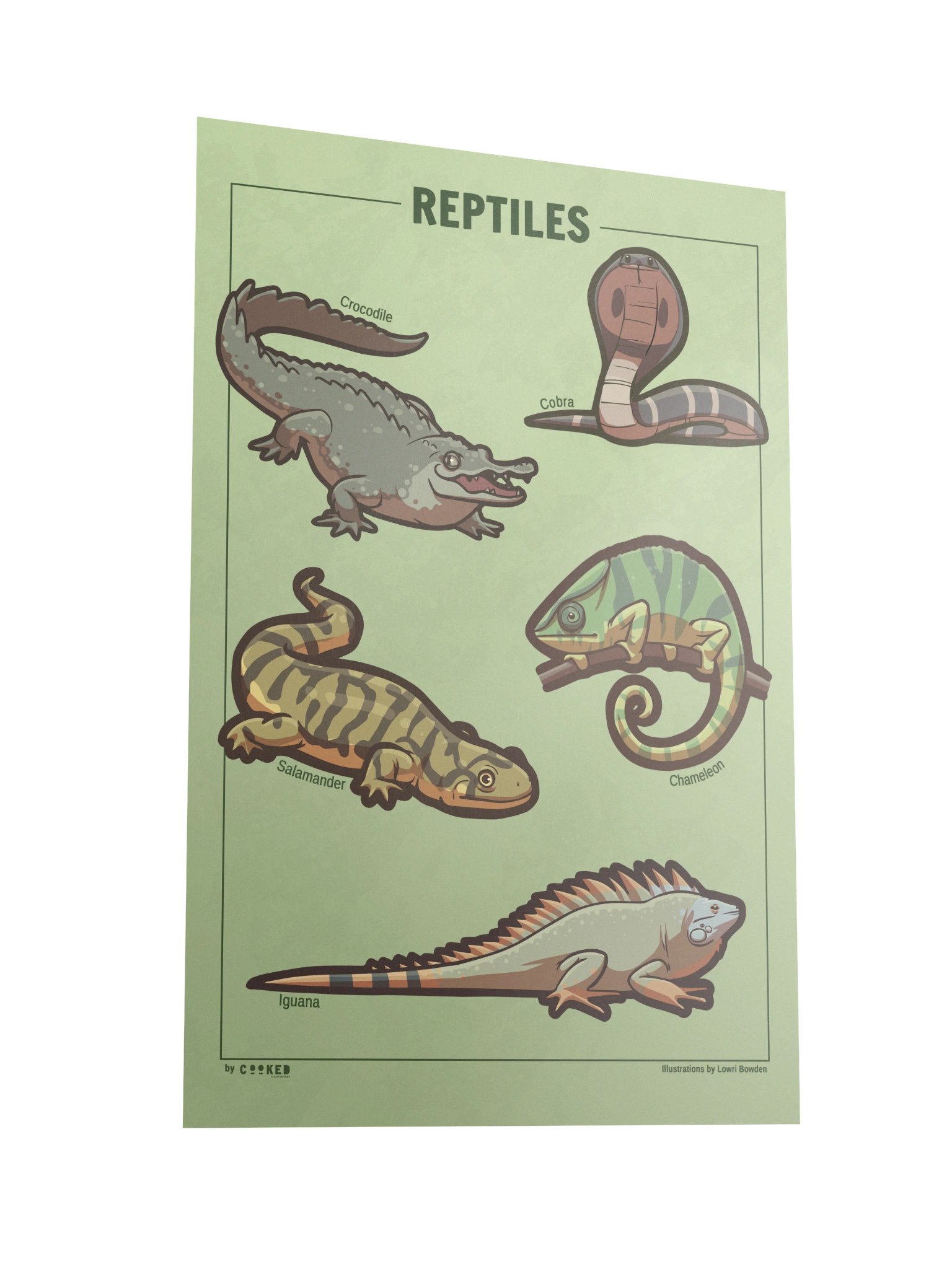 Reptiles Poster - 5 Illustrated Reptiles - Original Illustrated Poster product image (4)