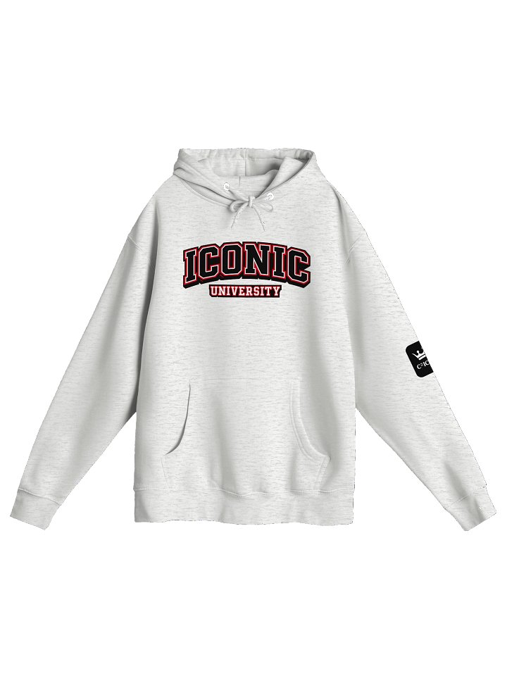 ICONIC University Pullover Hoodie product image (13)