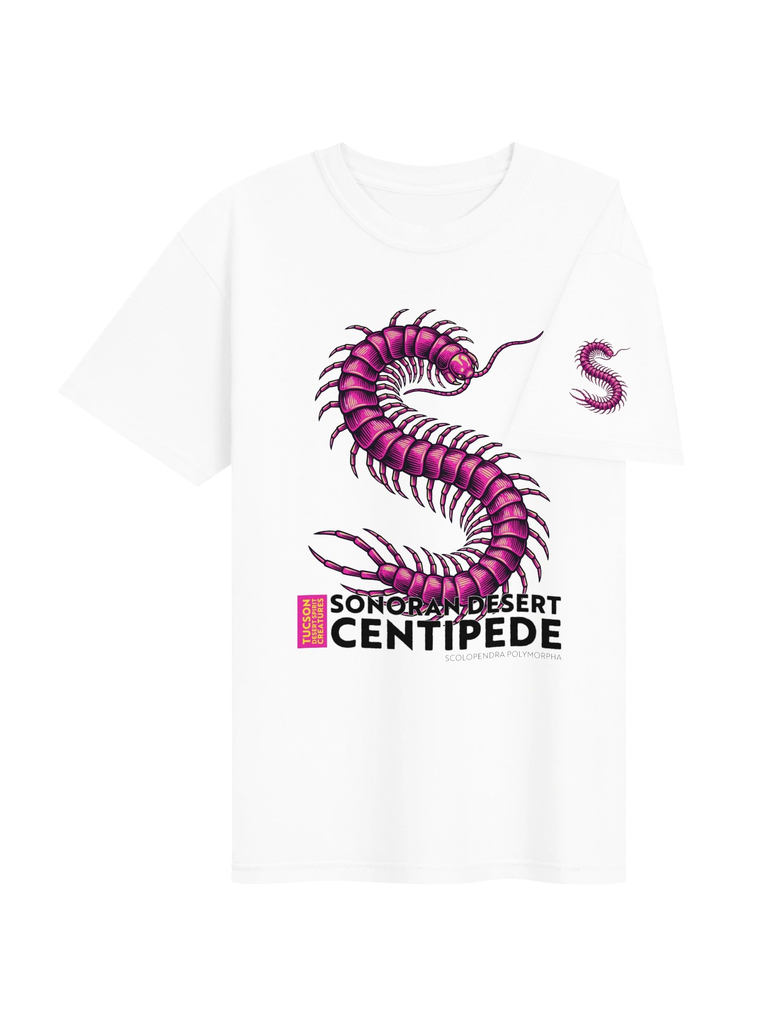 SONORAN DESERT CENTIPEDE product image (166)