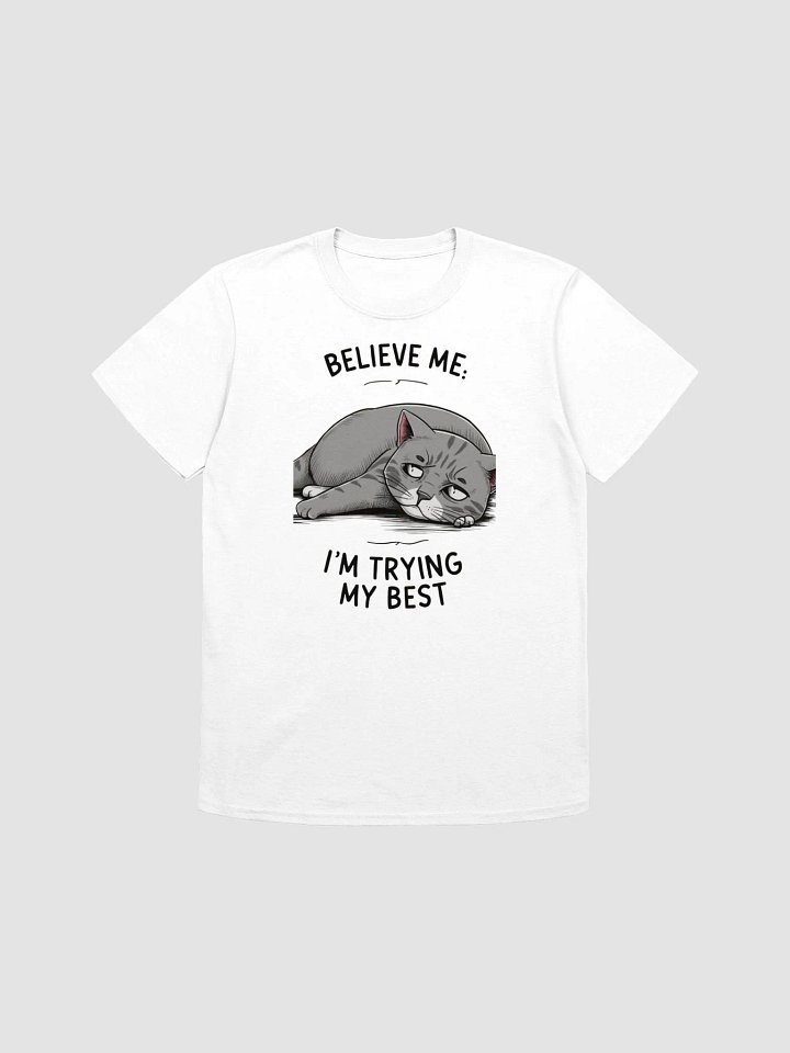 Believe Me, I Am Trying My Best product image (1)