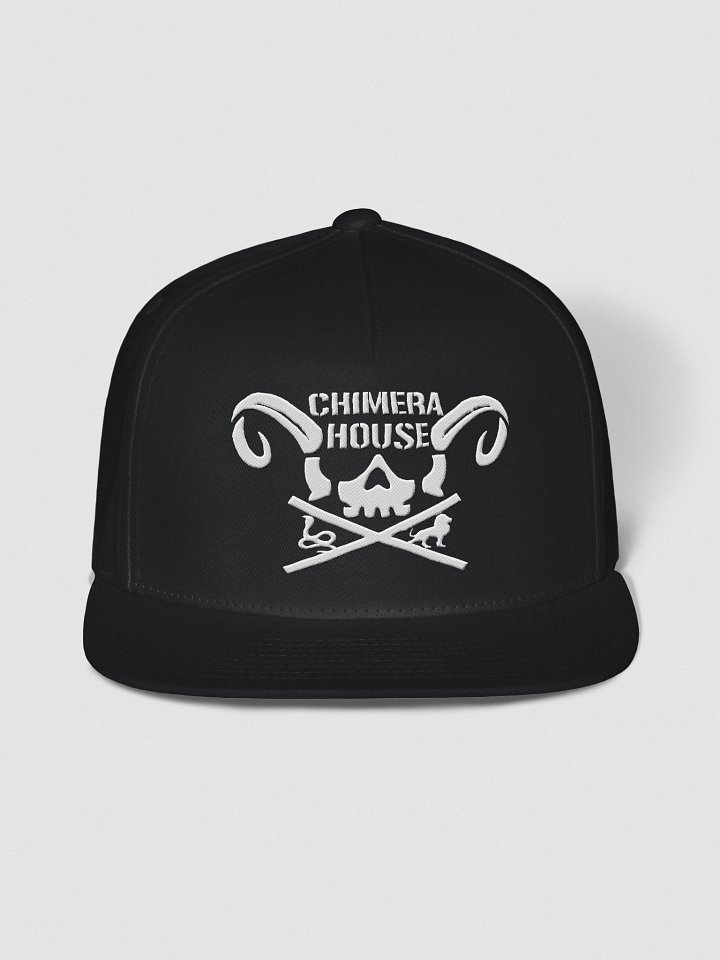 Chimera Club Snapback product image (4)