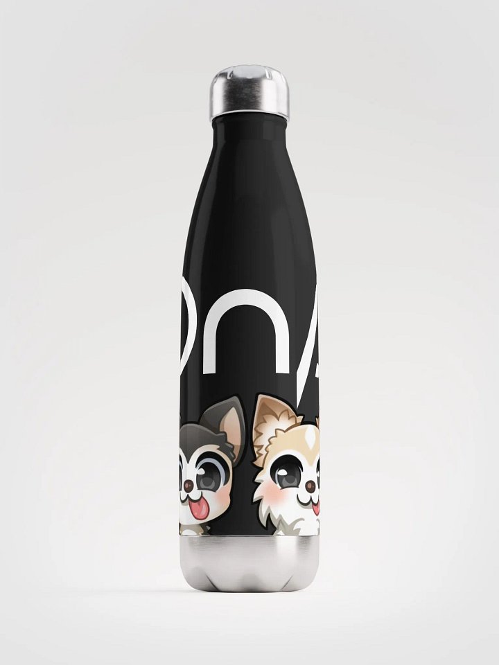 Steel Water Bottle (DnA) product image (1)