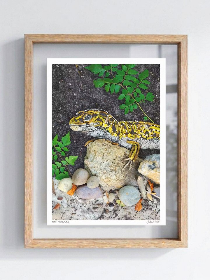 ON THE ROCKS | Fine Art Print product image (1)