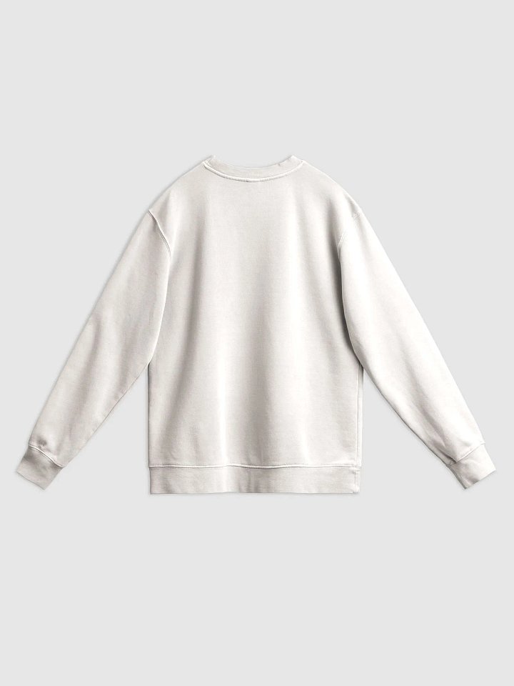ARACEAE VARSITY - Midweight Pigment Dyed Sweatshirt product image (4)