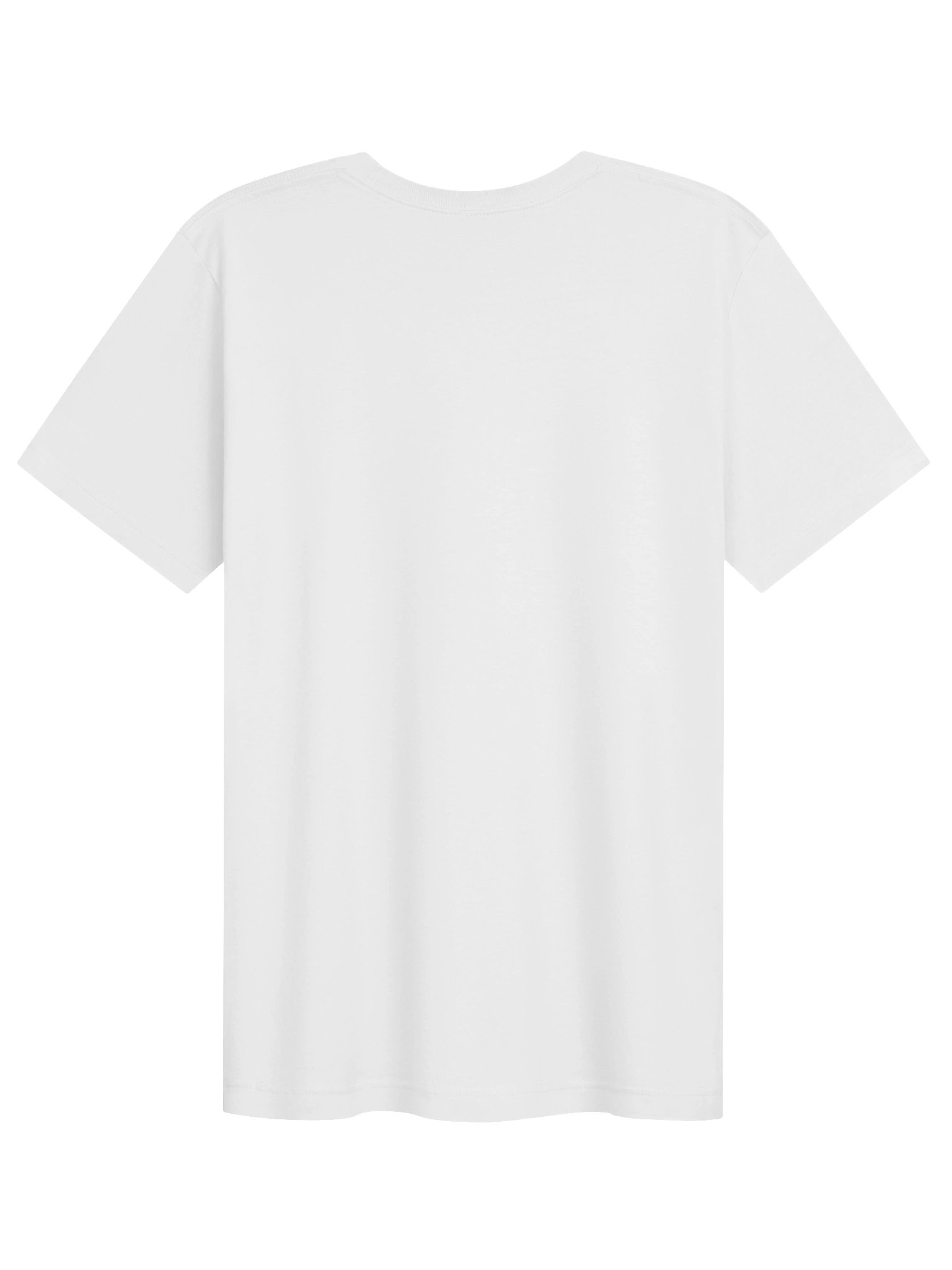 Pasa Taco Please Tee product image (12)