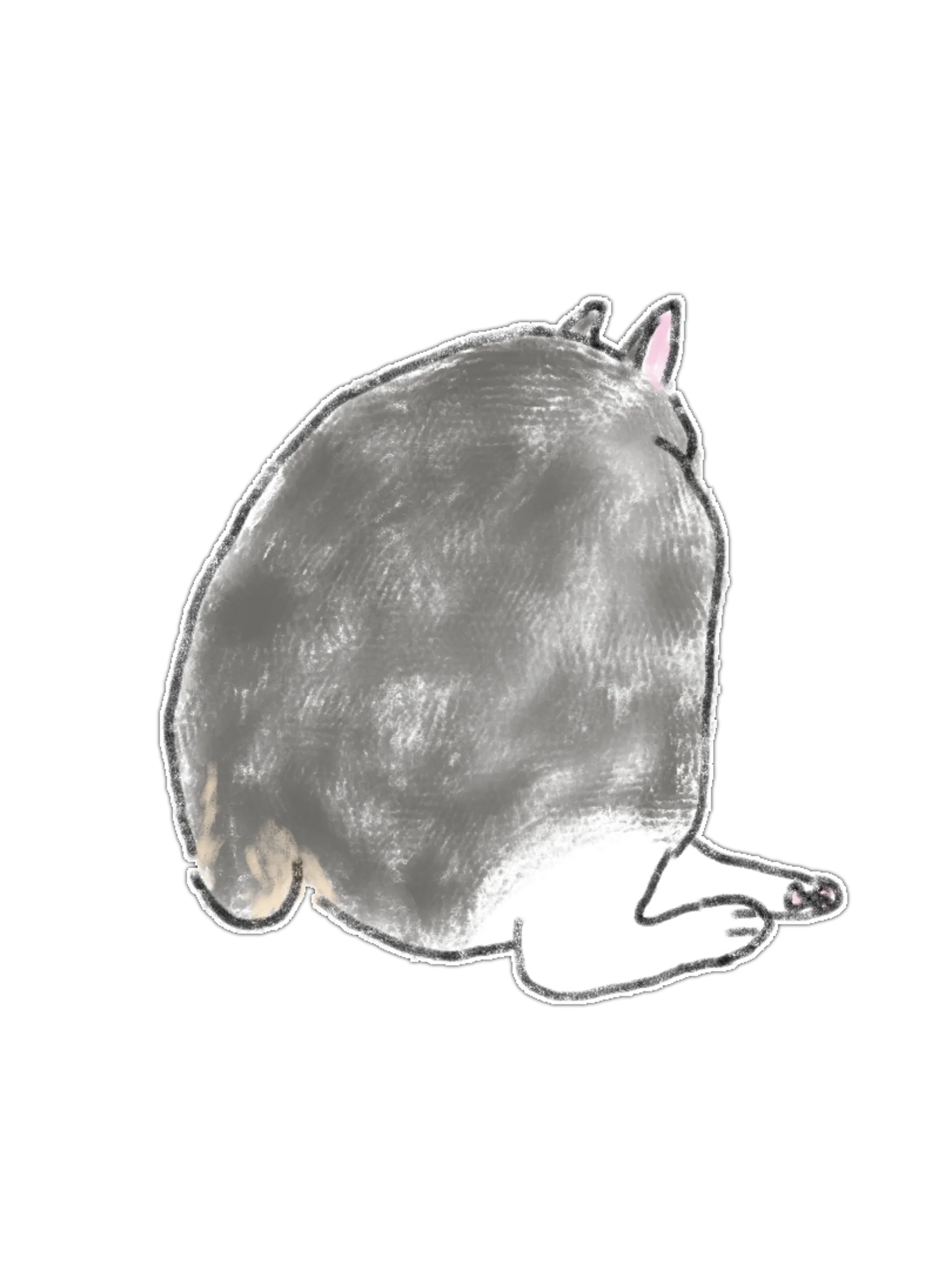 17 Hand-Drawn Cat PNG Clipart Bundle product image (11)