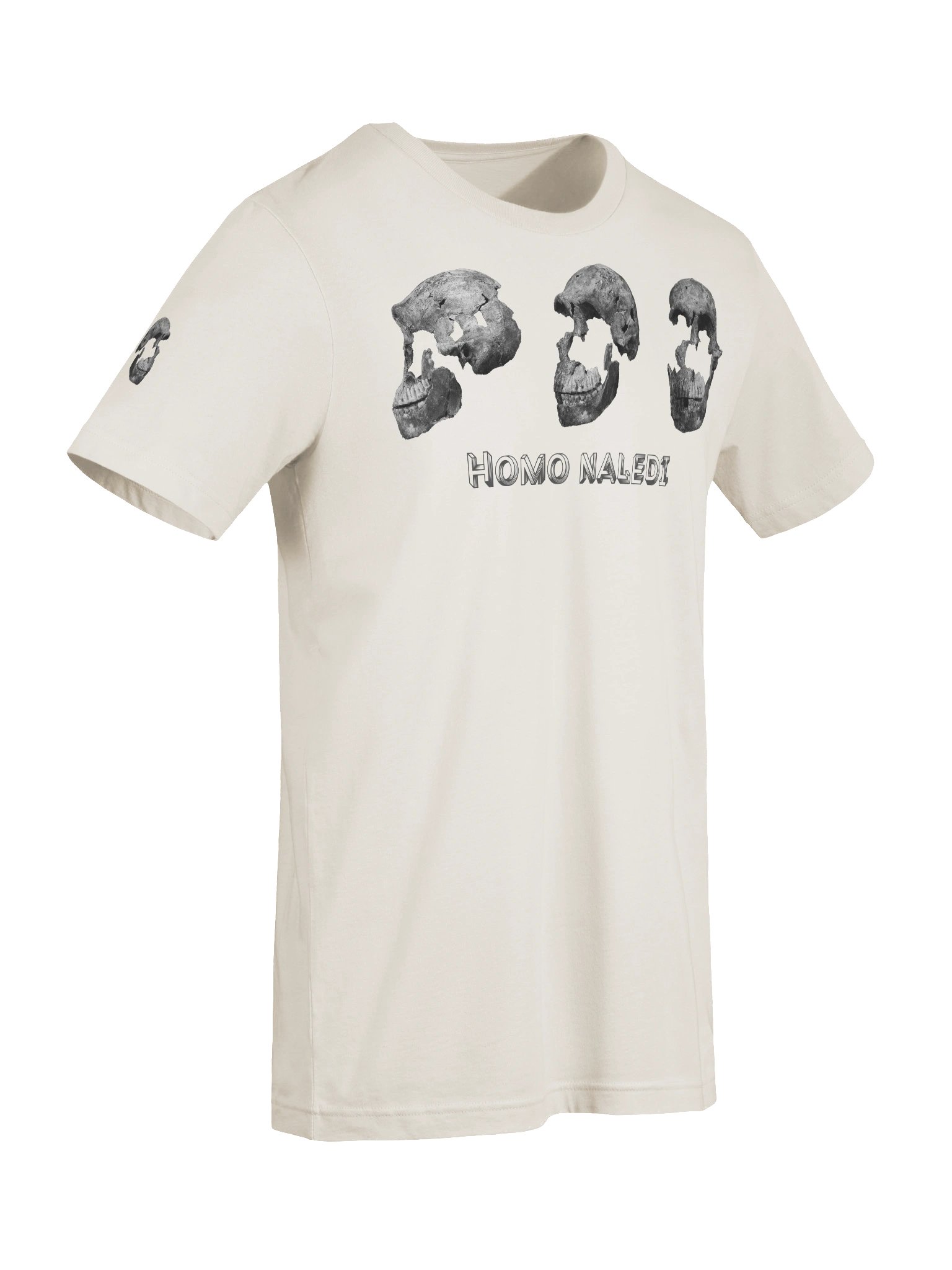 Naledi Fossil Skull T-Shirt Light product image (54)