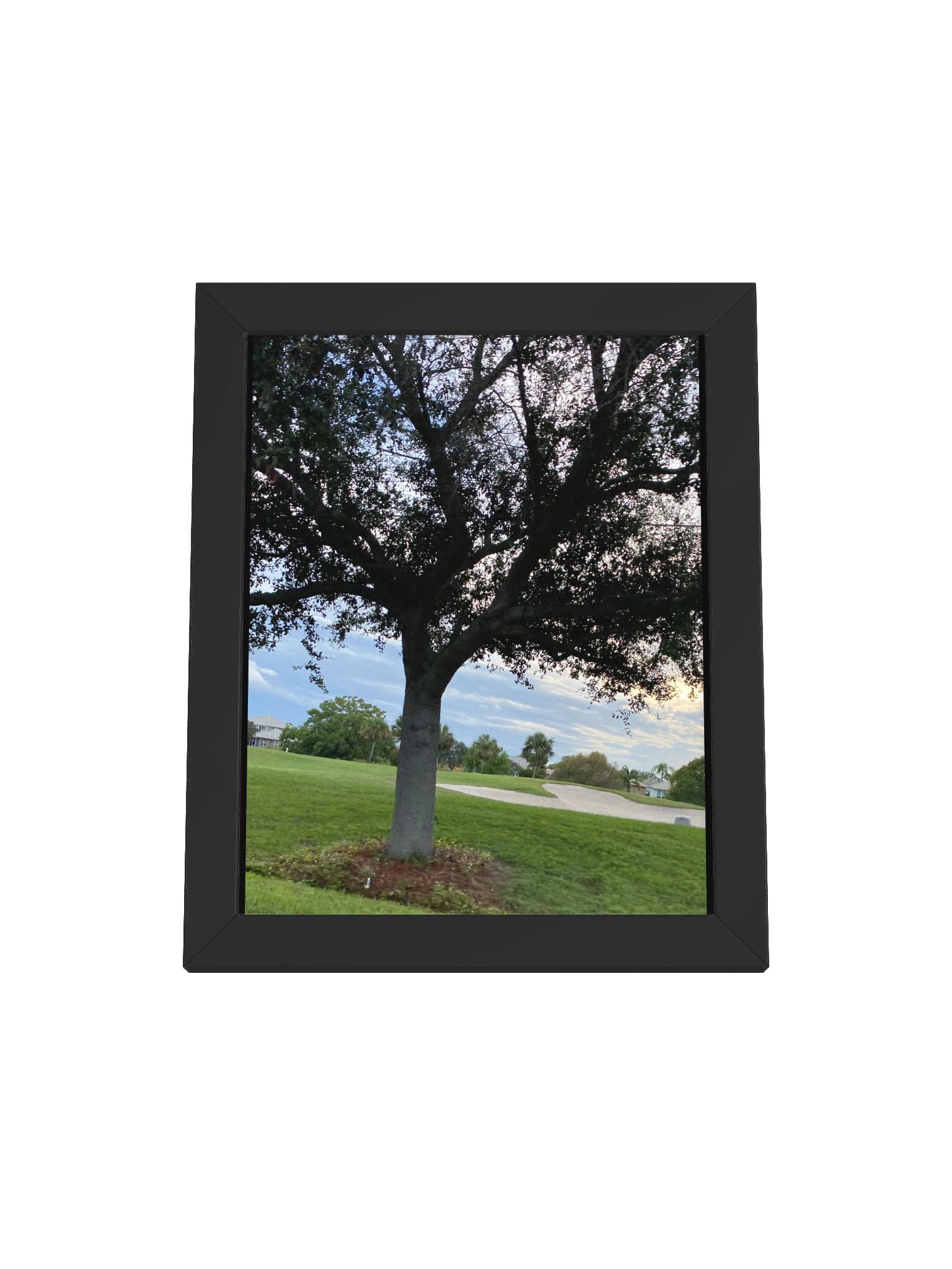 Tree of Life (poster) product image (3)
