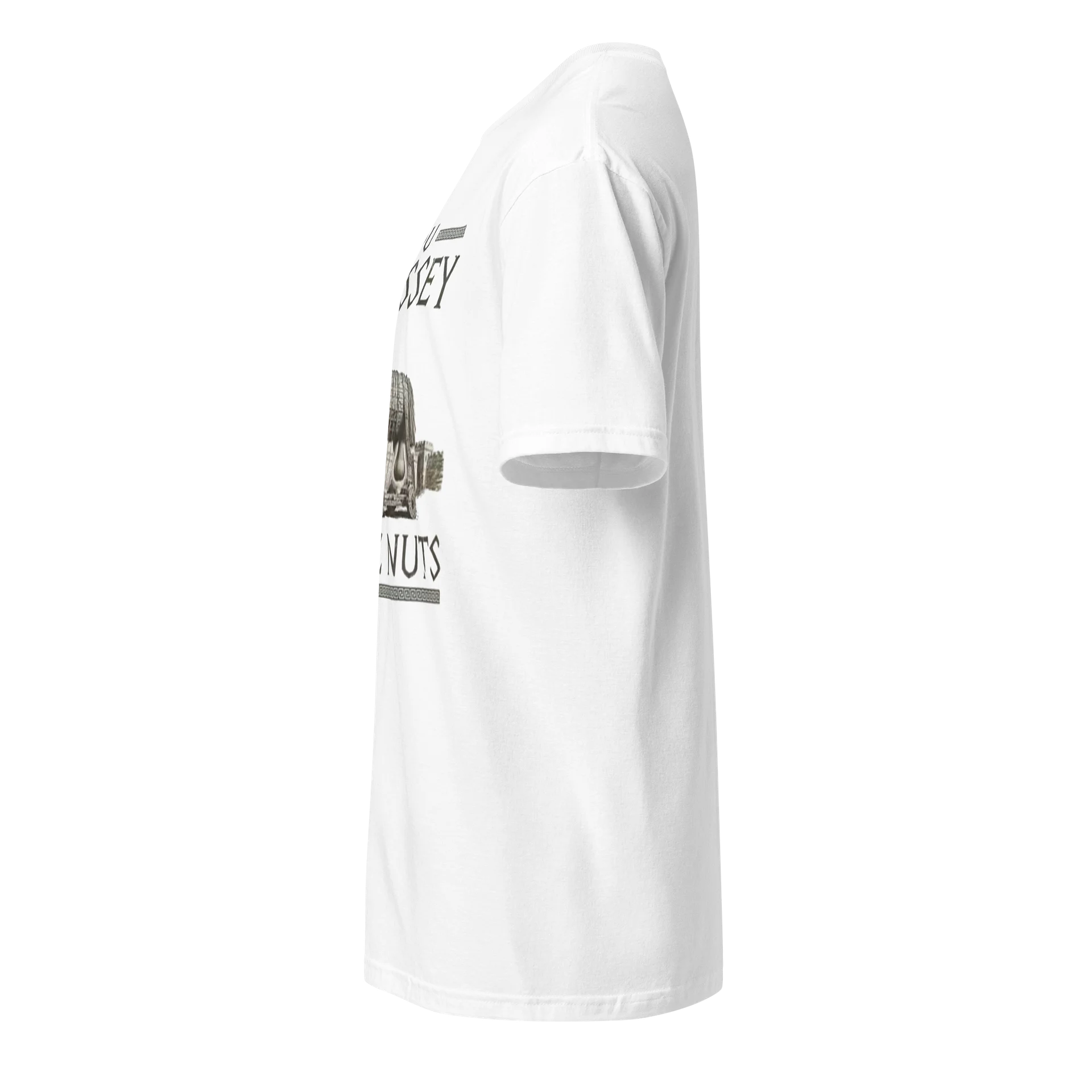YOU ODYSSEY DEES NUTS-T shirt product image (3)