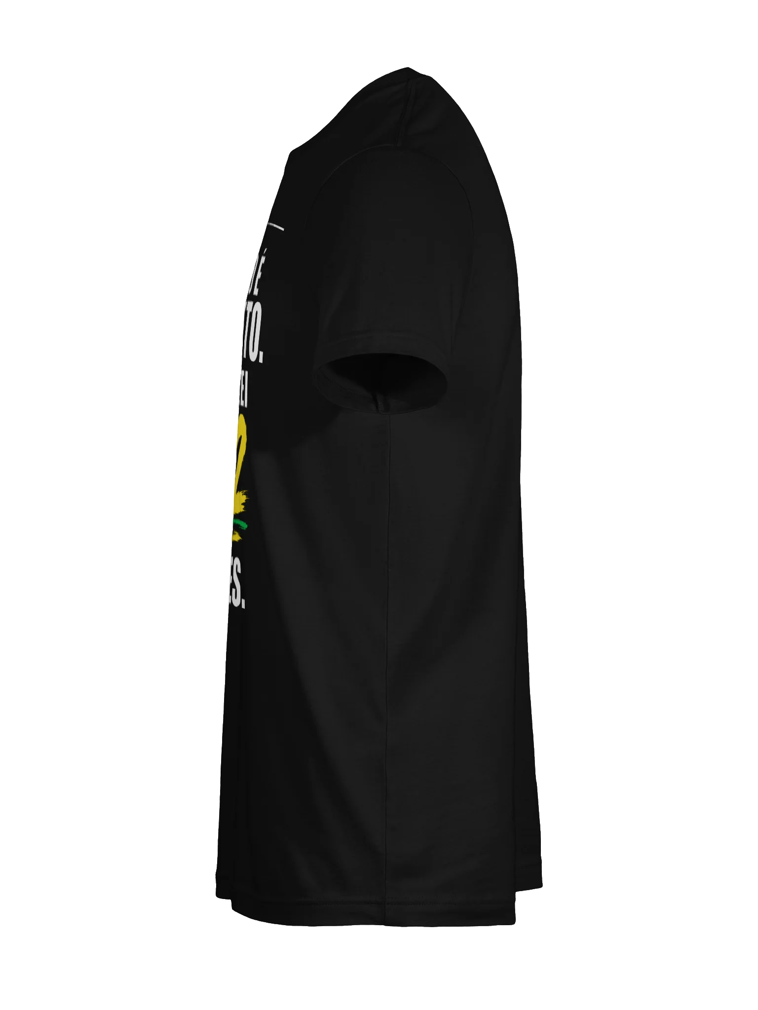 Voto Secreto , só voto 22 — T-Shirt | Model II product image (9)