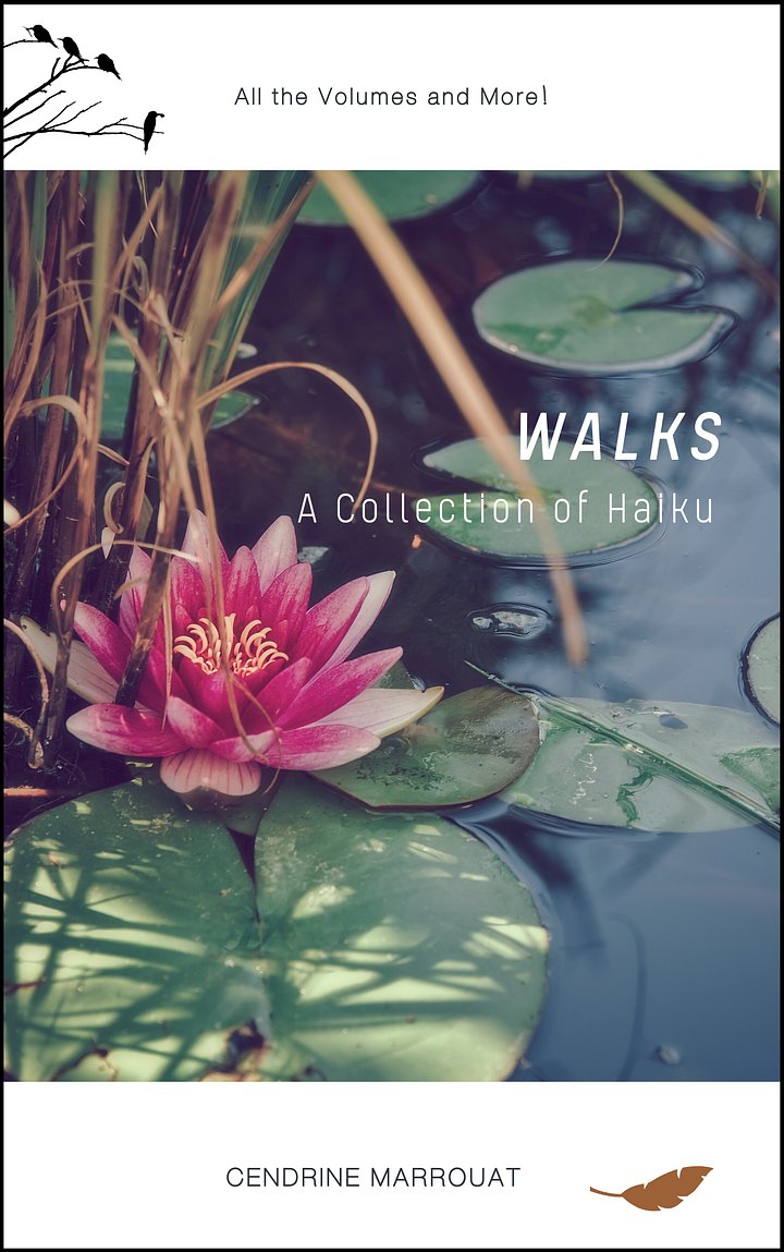 Walks: A Collection of Haiku product image (1)