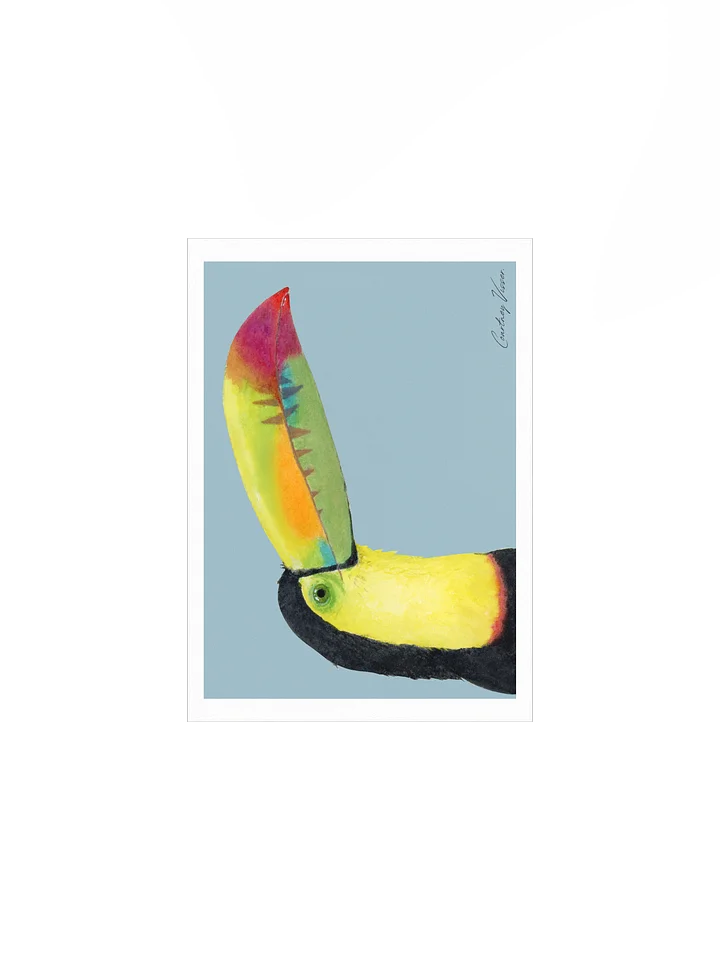 Toucan print product image (2)