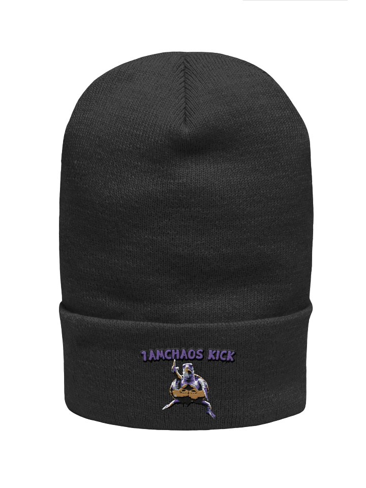 Chaos Kick Turtle Power Beanie product image (8)