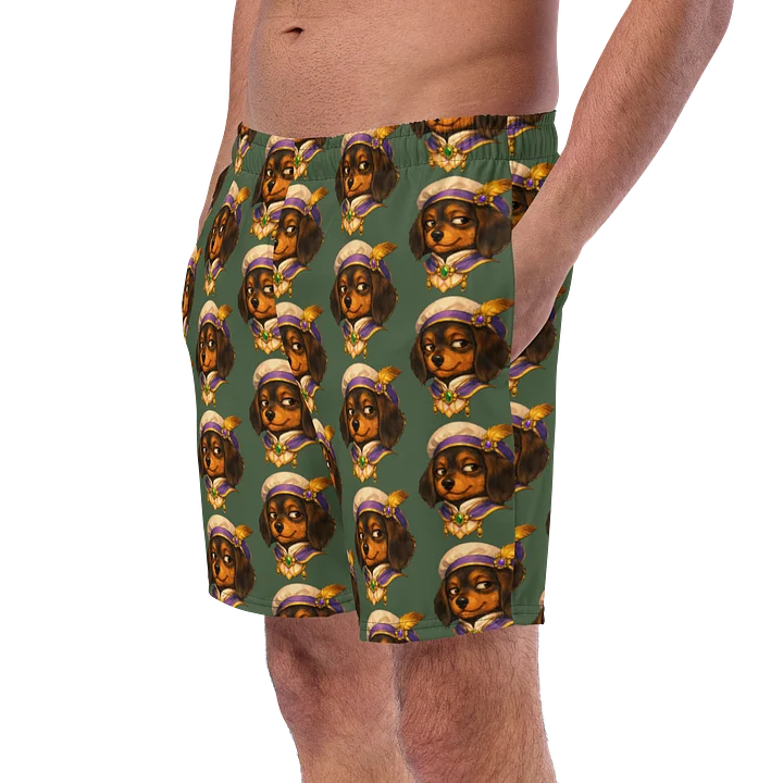 Kingdom Herald 2 All-Over Print Swim Trunks product image (2)