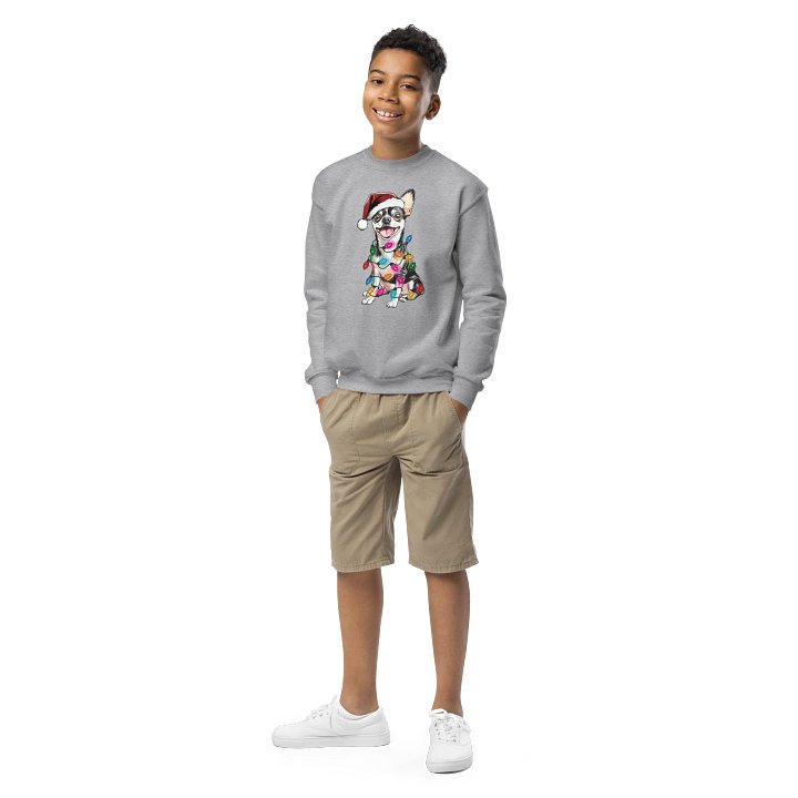 Funny Christmas Chihuahua(Tricolor) Youth Sweatshirt product image (1)