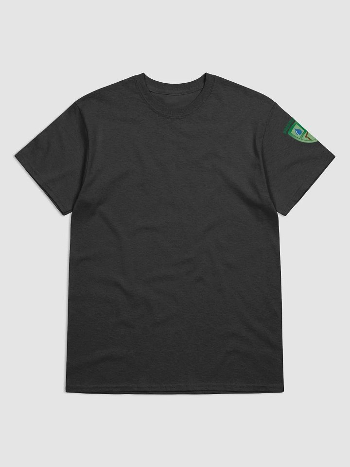 Hurricane Helene Survivor T-Shirt product image (1)