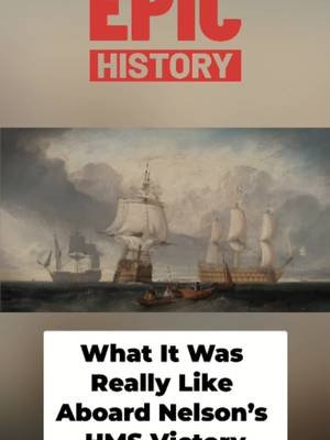 Life on HMS Victory was NOT glamorous 💀 Rotten food, no sleep, and cannons blasting inches from your face. Here's what Nelson's crew actually went through. Check out the full video at Epic History. #epichistory #navalhistory #admiralnelson #historyfacts #militaryhistory #britishhistory #historytok