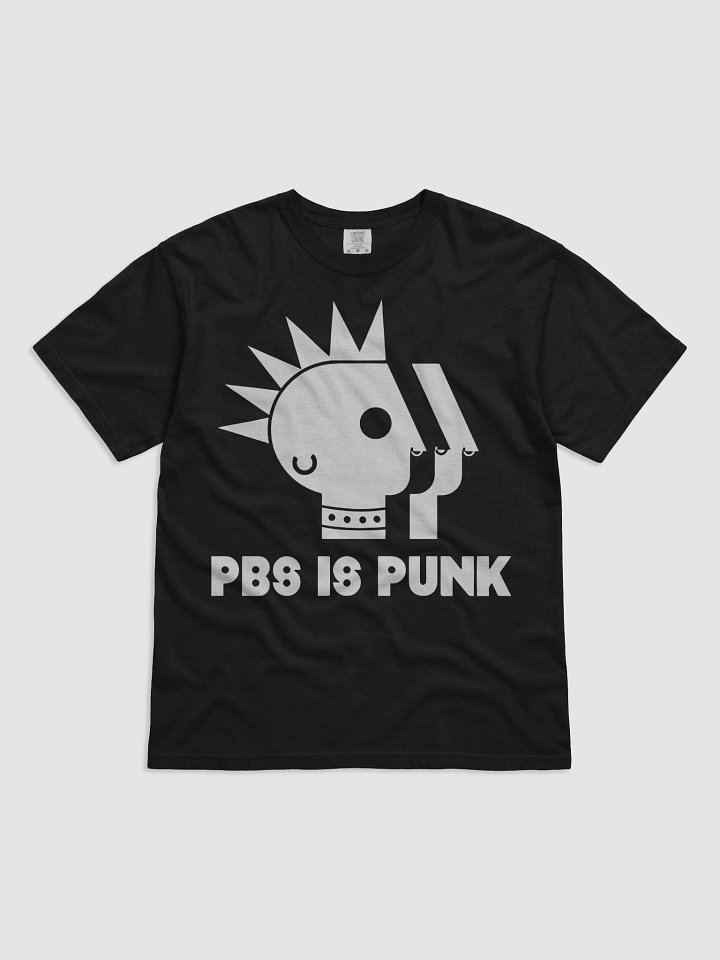 Two Crow Collective PBS Is Punk Shirt product image (13)