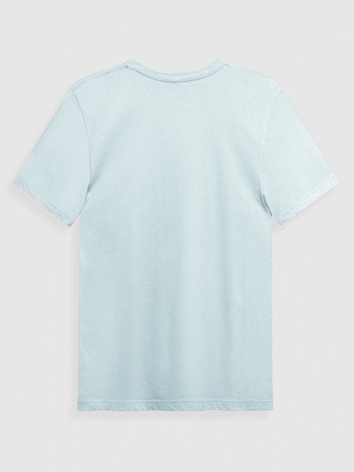 Fruitful Vegan Vibes T-Shirt product image (2)