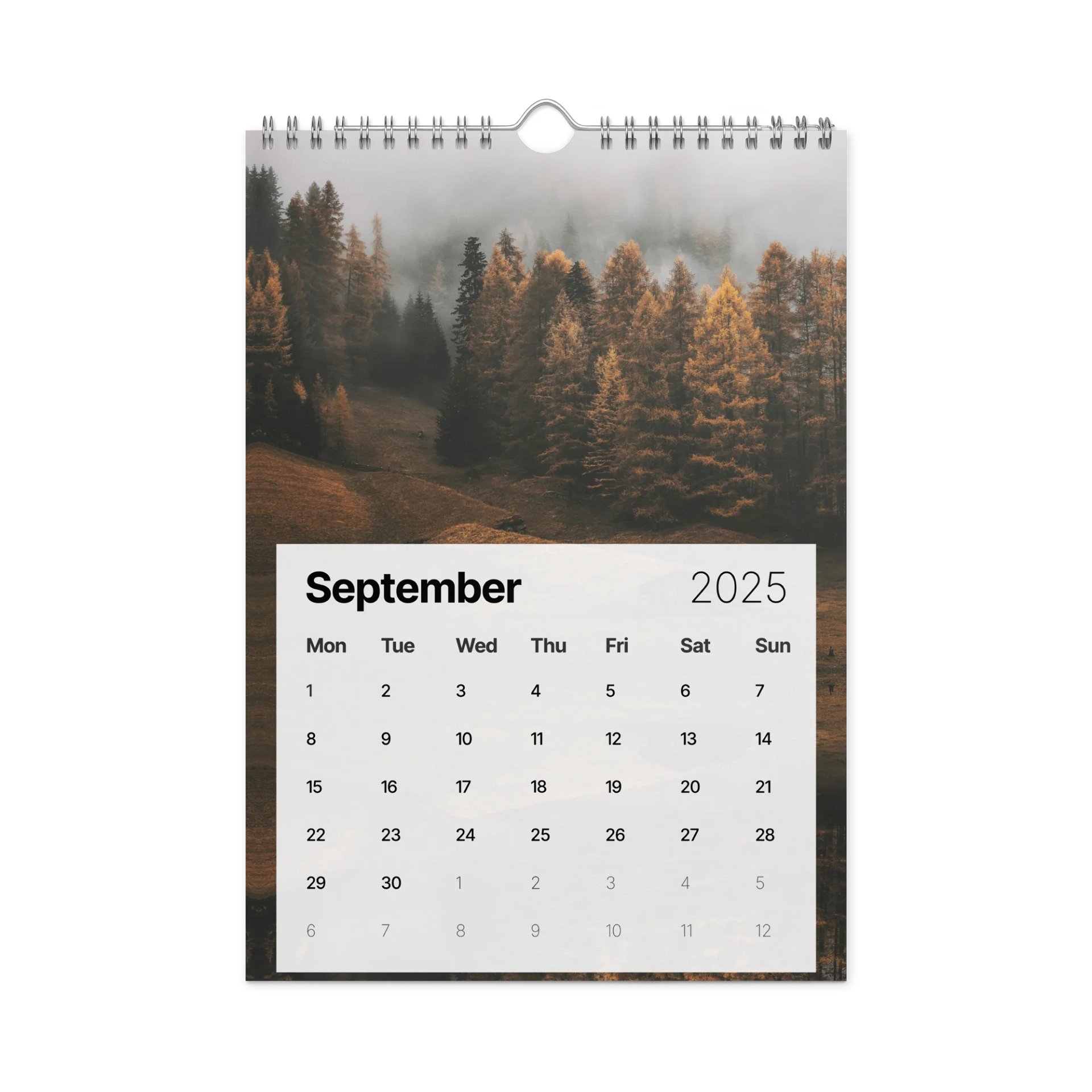 2025 Calendar product image (9)
