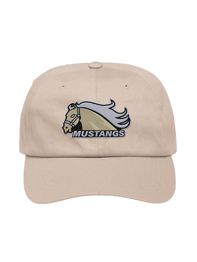 S4 Pro Hats