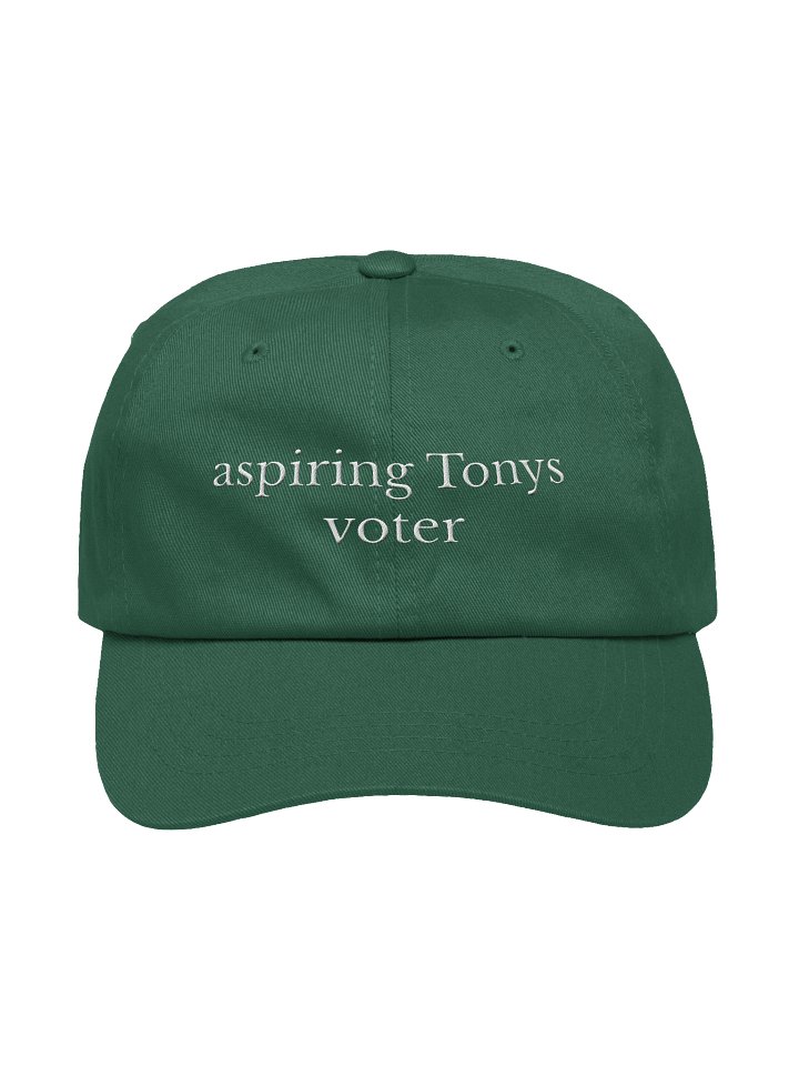 Aspiring Tonys Voter hat product image (1)
