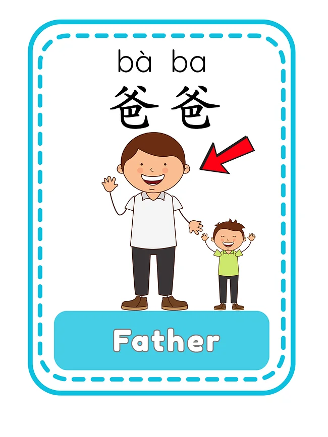 词汇闪卡 · Vocabulary Flashcards