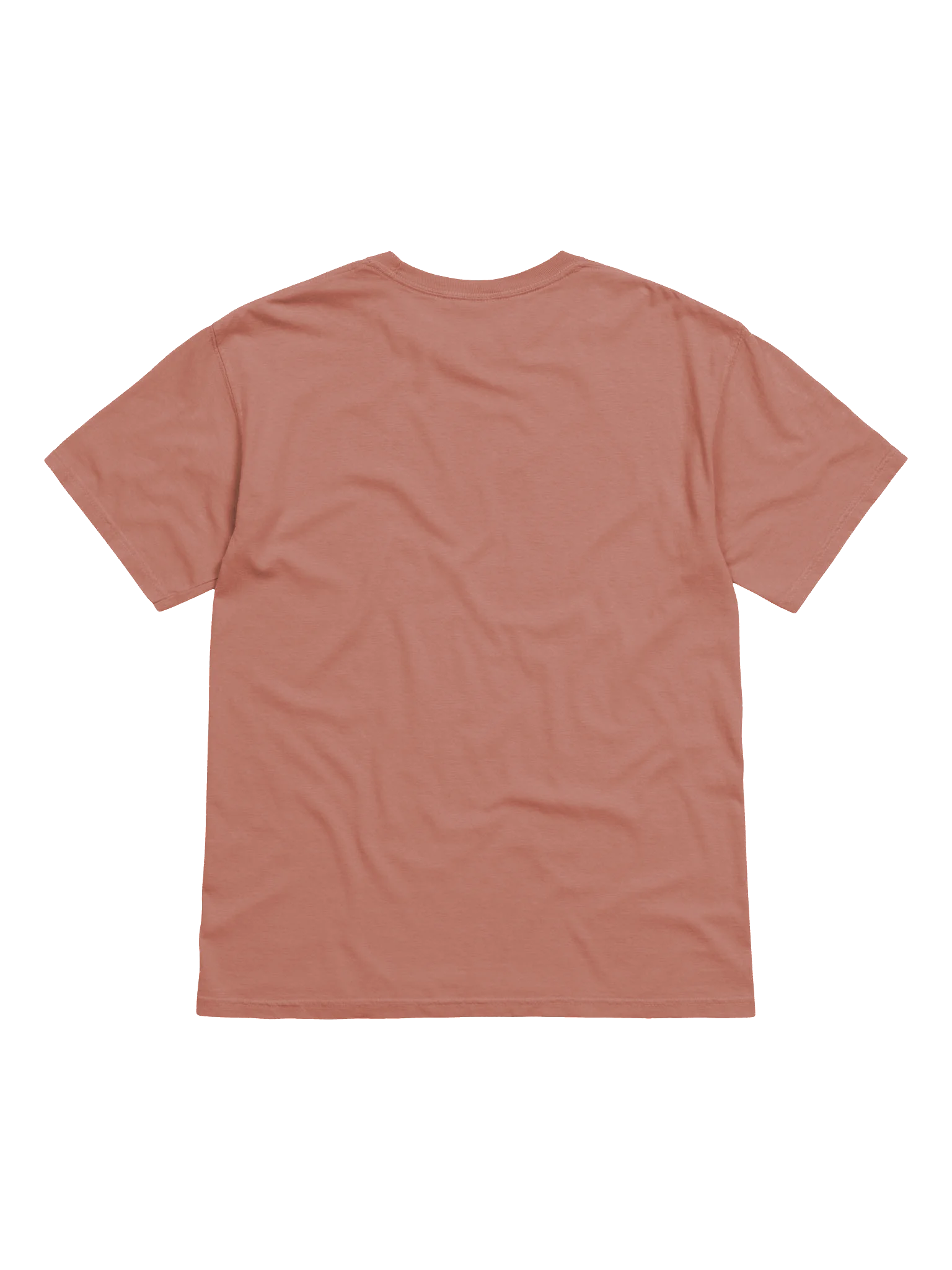 "Raised with Christ" Essential Tee product image (2)