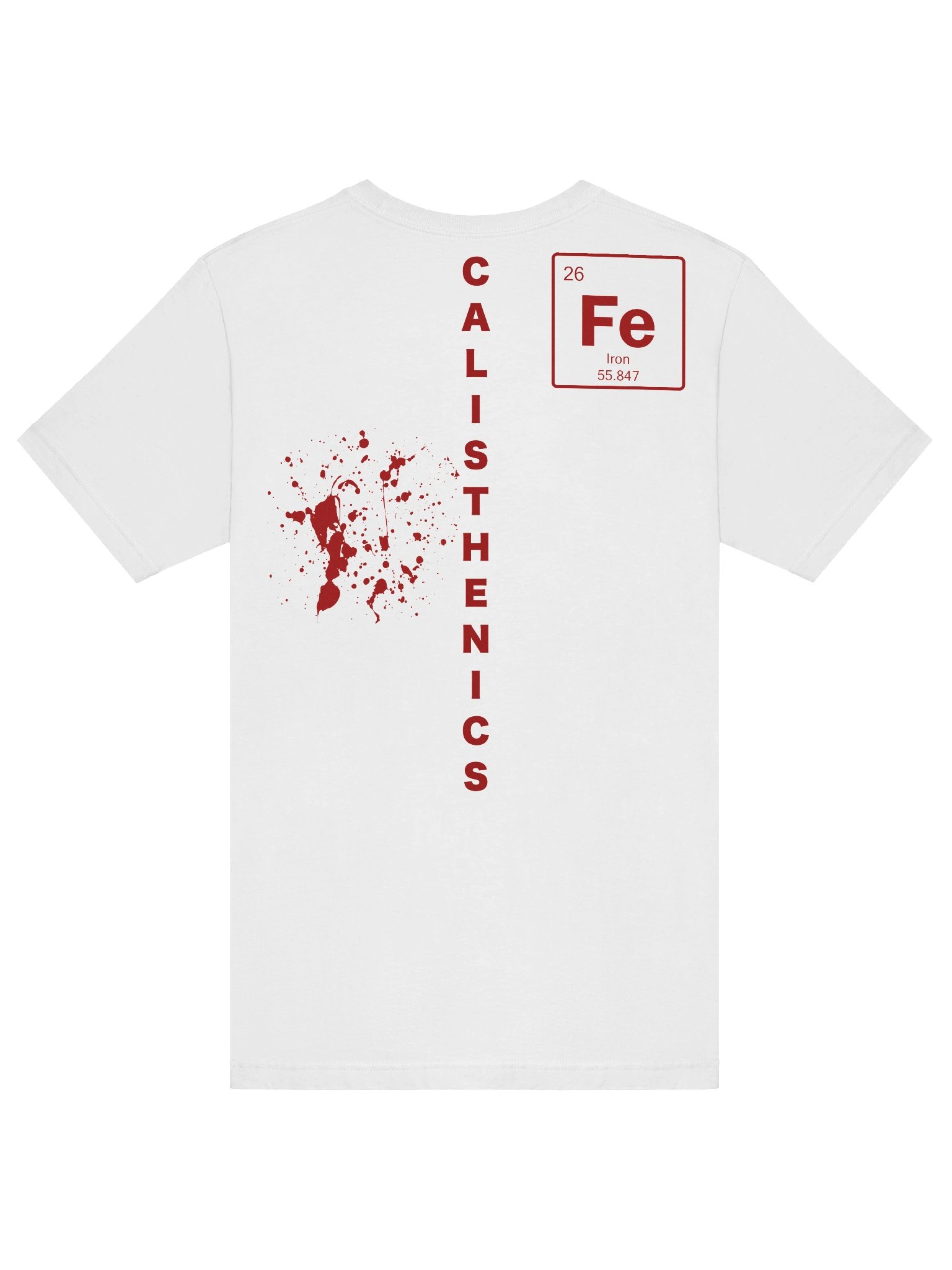Calisthenics T-Shirt Blood & Iron product image (6)