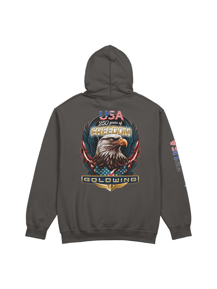 America 250 GOLDWING Hoodie product image (9)