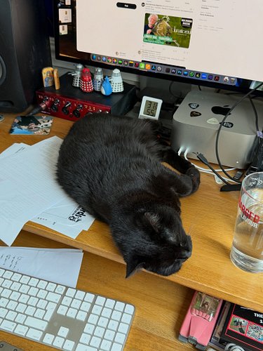 Now Spinning Magazine Cats struggle in the UK heatwave.
Both Jazz and Rocky have downed tools until further notice !

#cats_o...