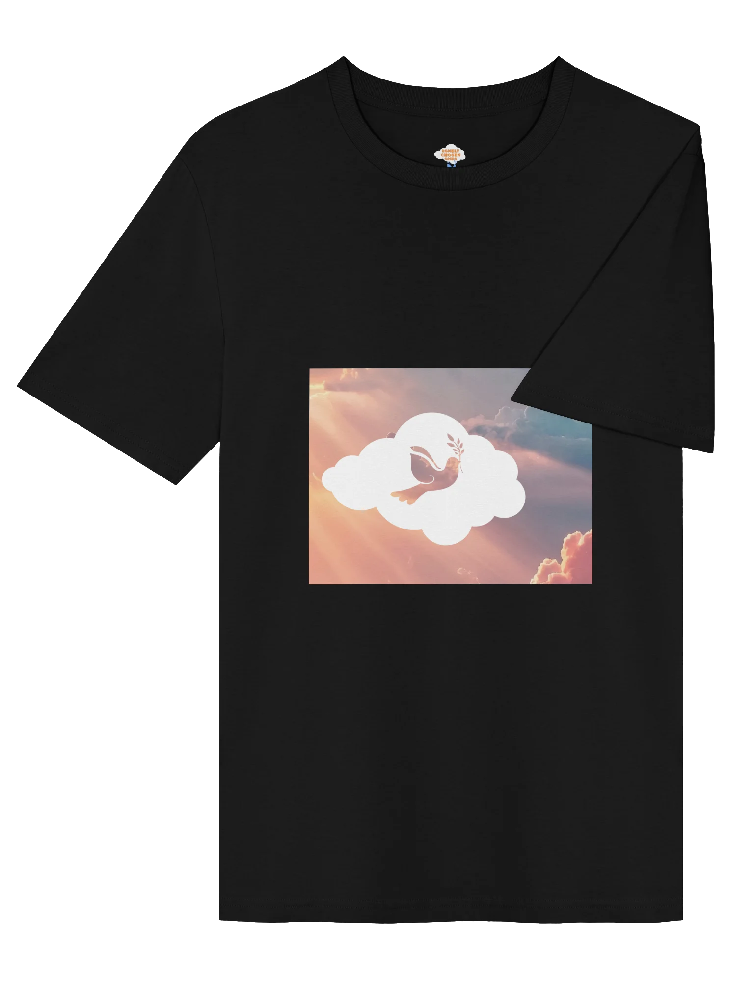 HERMOSO CIELO TEE (WOMEN) product image (4)