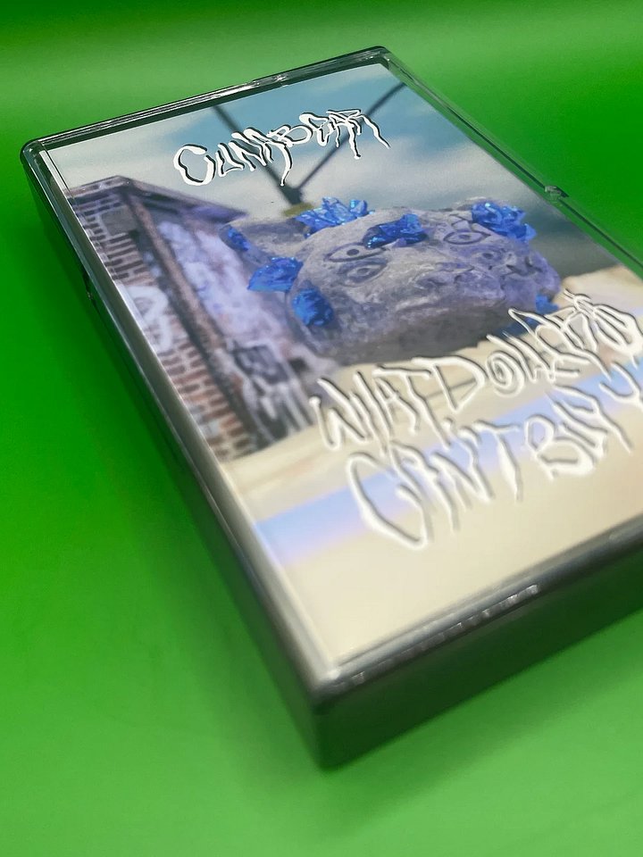 “What Dollar$ Can’t Buy You” - Limited Edition Cassette Tape product image (2)