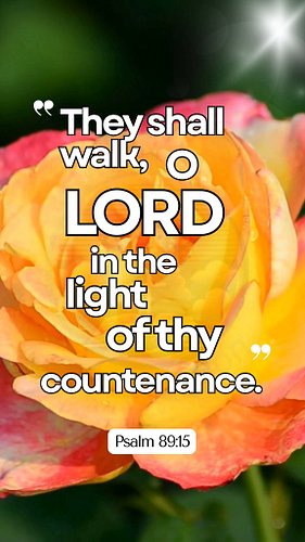 Walk in His Light
🤍💛🧡🤍💛🧡🤍💛🧡🤍💛🧡🤍💛🧡🤍💛🧡🤍💛🧡
Psalm 89:15 — “They shall walk, O LORD, in the light of thy countenance.”
#BibleVerse...