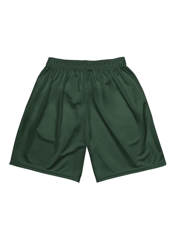 SC Baobab Fortress Home Shorts product image (2)