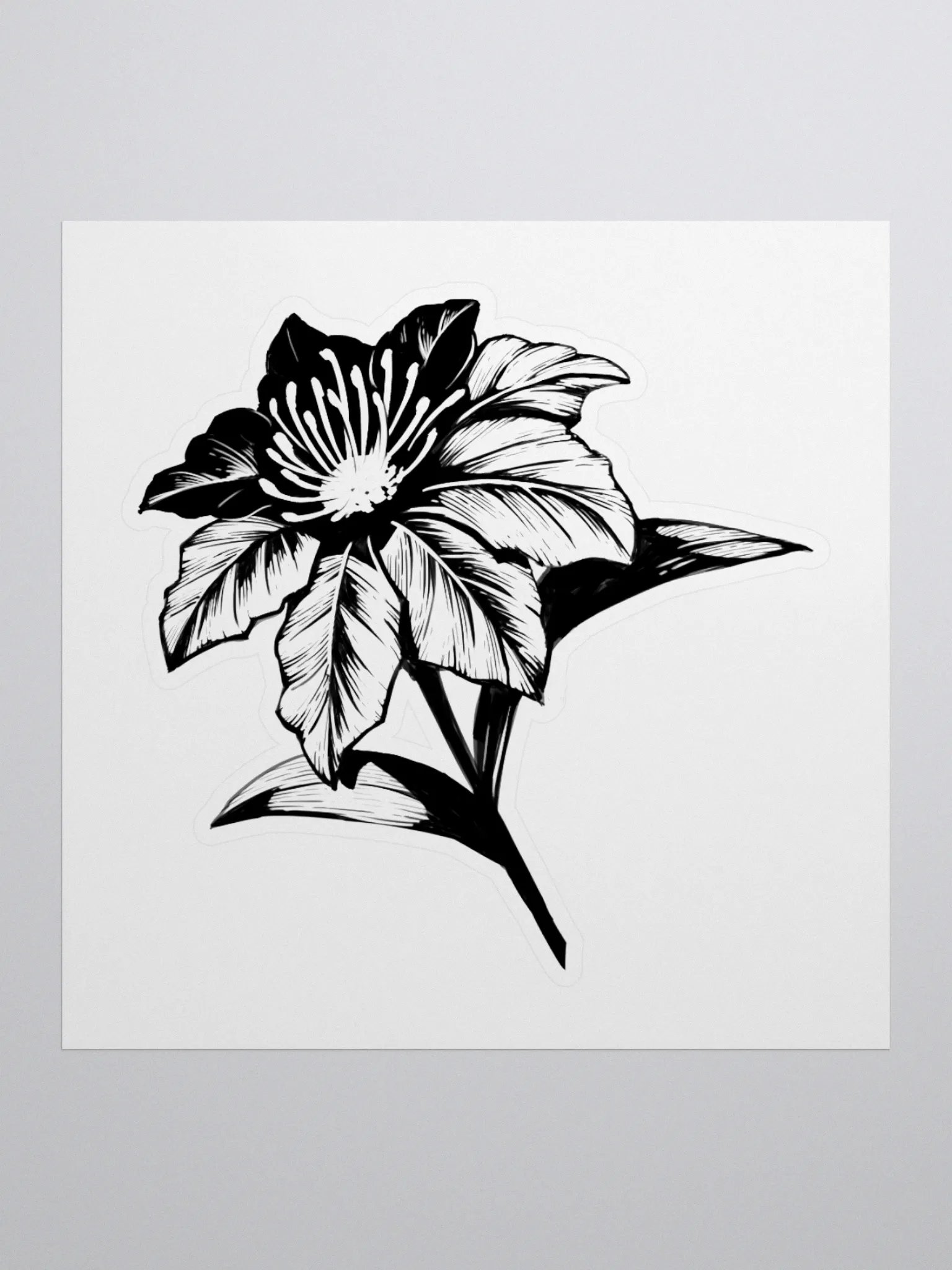Sticker - Fayne PDV product image (1)