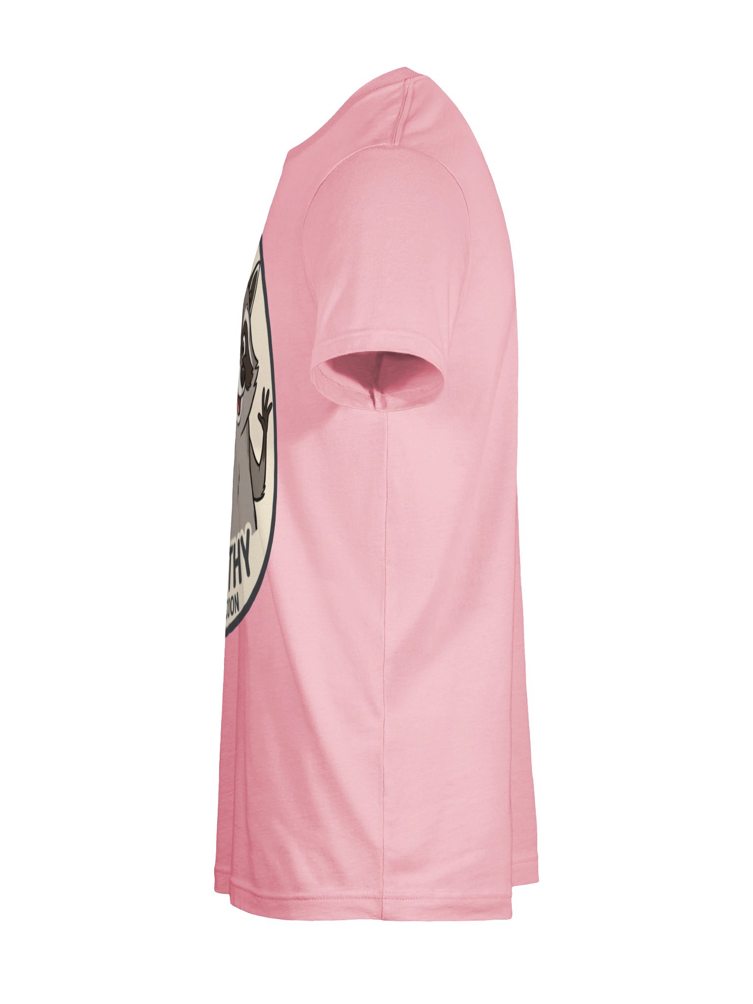 Jimothy the Raccoon Pink Tee product image (10)
