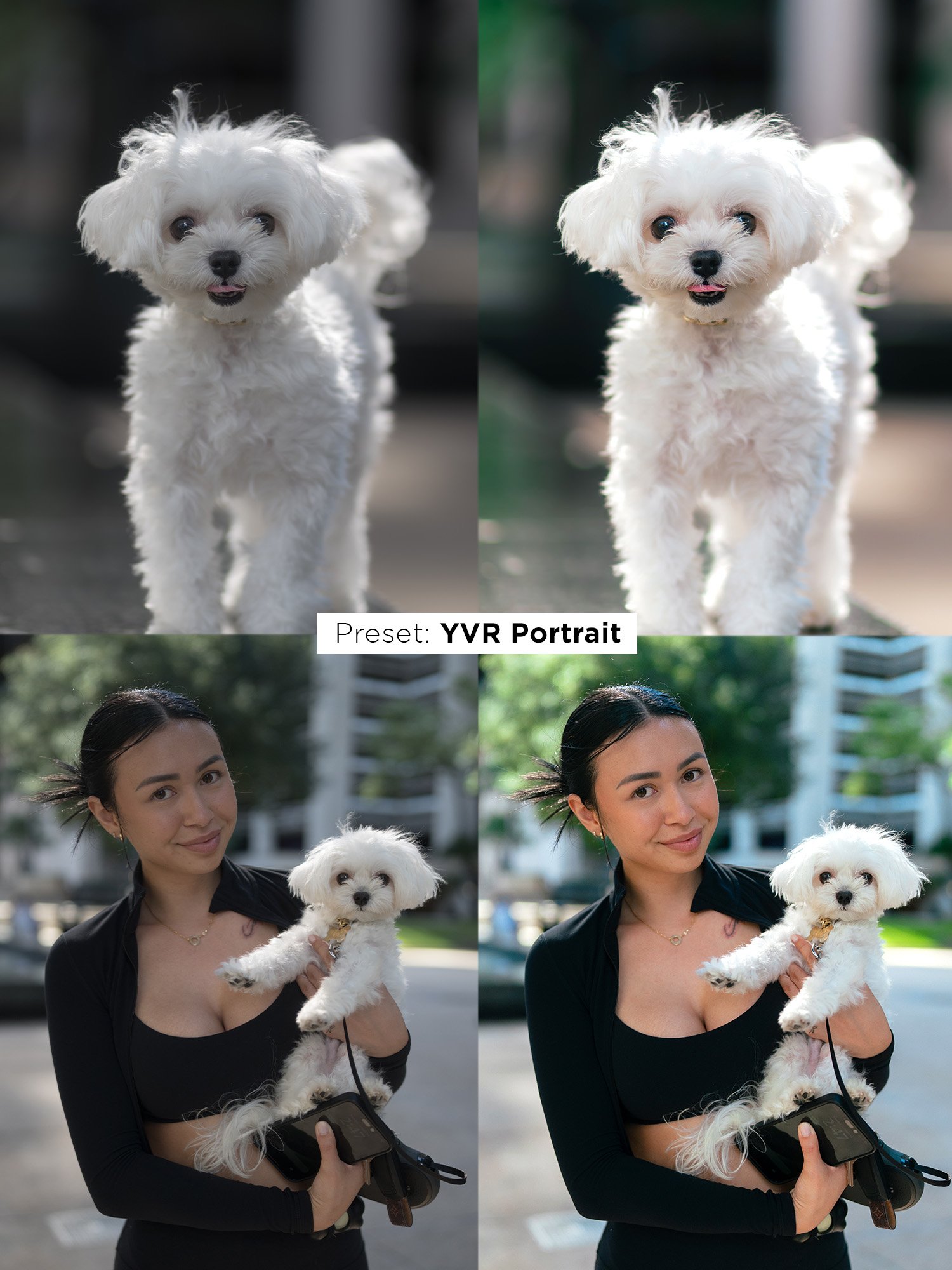 Ultimate Preset Bundle product image (6)