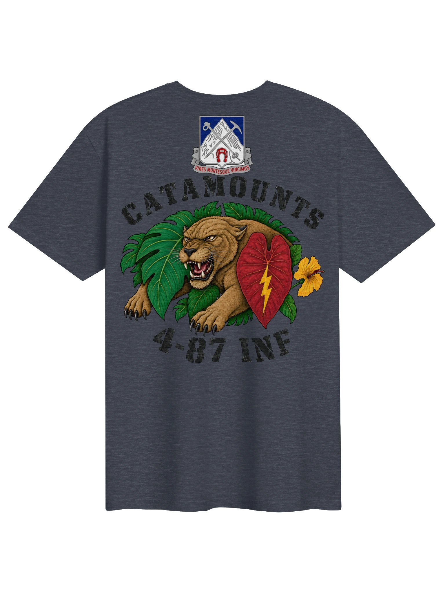 4th Bn 87th INF 25th ID product image (13)