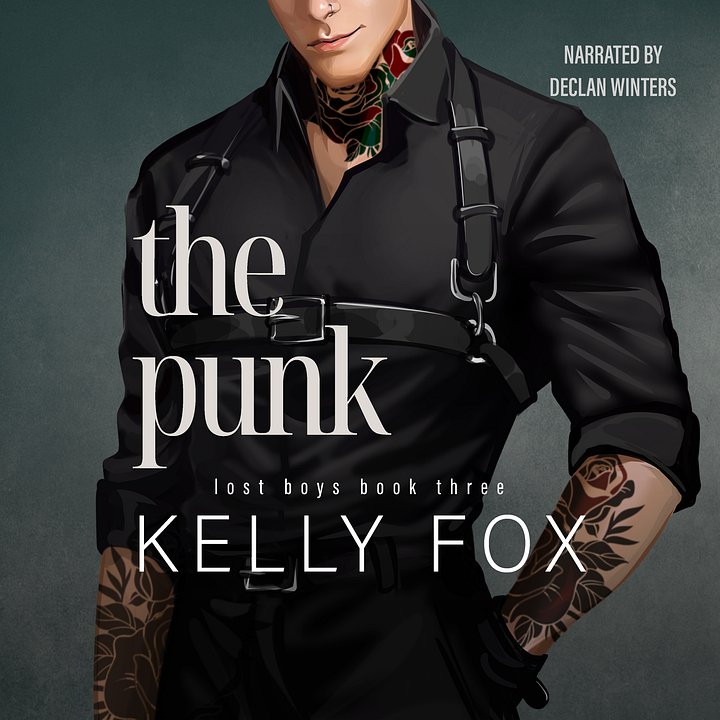 The Punk (Lost Boys Book 3) product image (1)