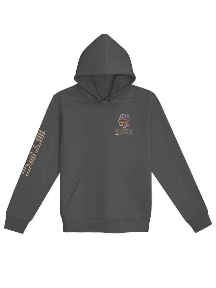 Hoodie | STFC Data Chip & Logo product image (1)